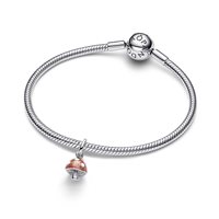 Charm Pandora in Argento 794376C01 - 794376C01